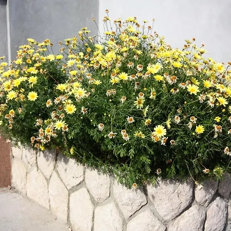 By The Sea Kampor, Rab - 4986 Apartment